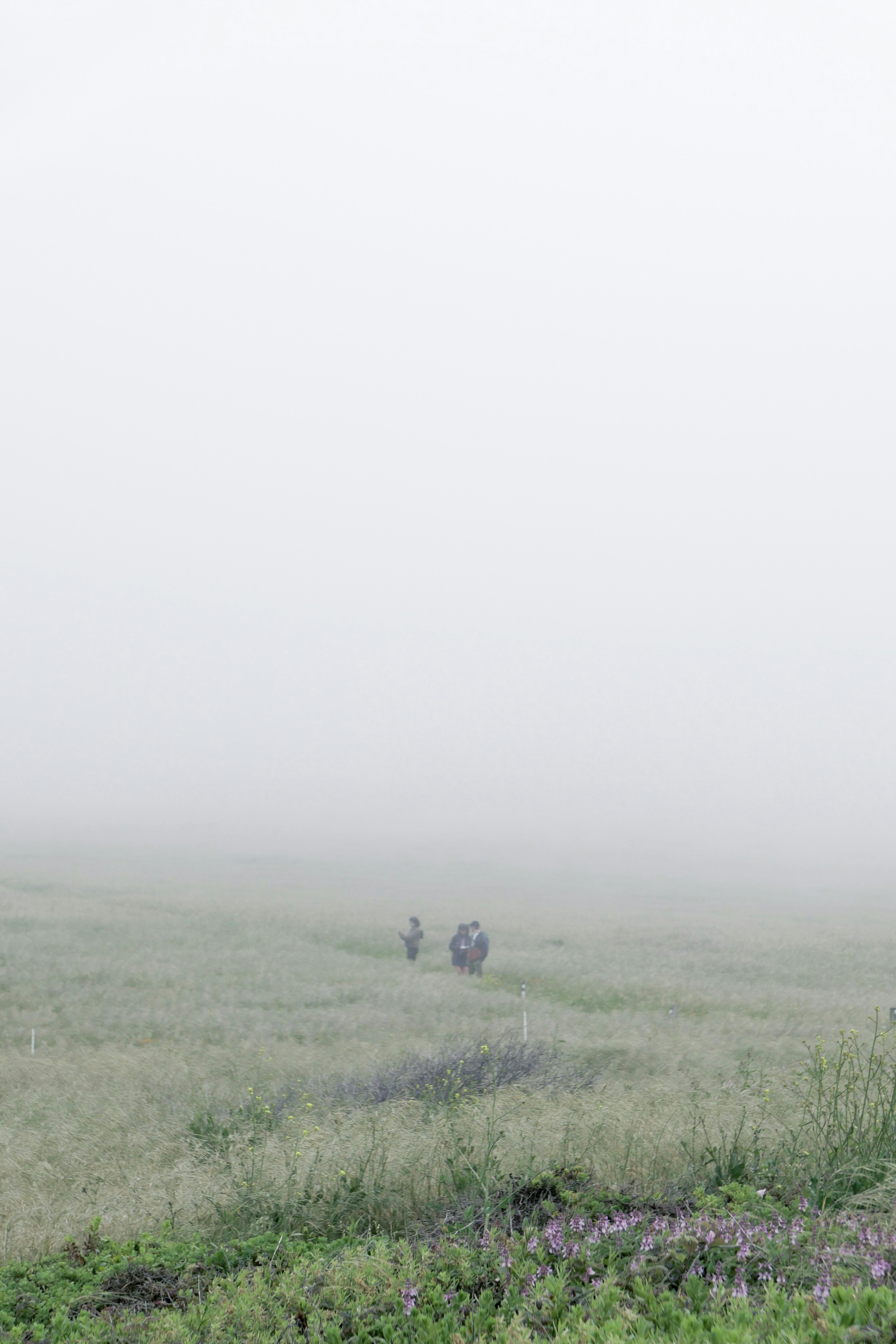 Photo by parkerwichelmann