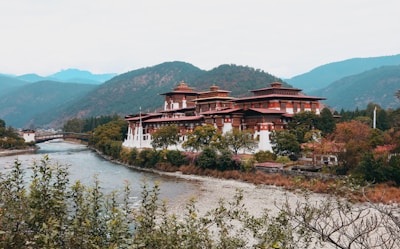 The serene institute grounds with traditional architecture and lush greenery.
