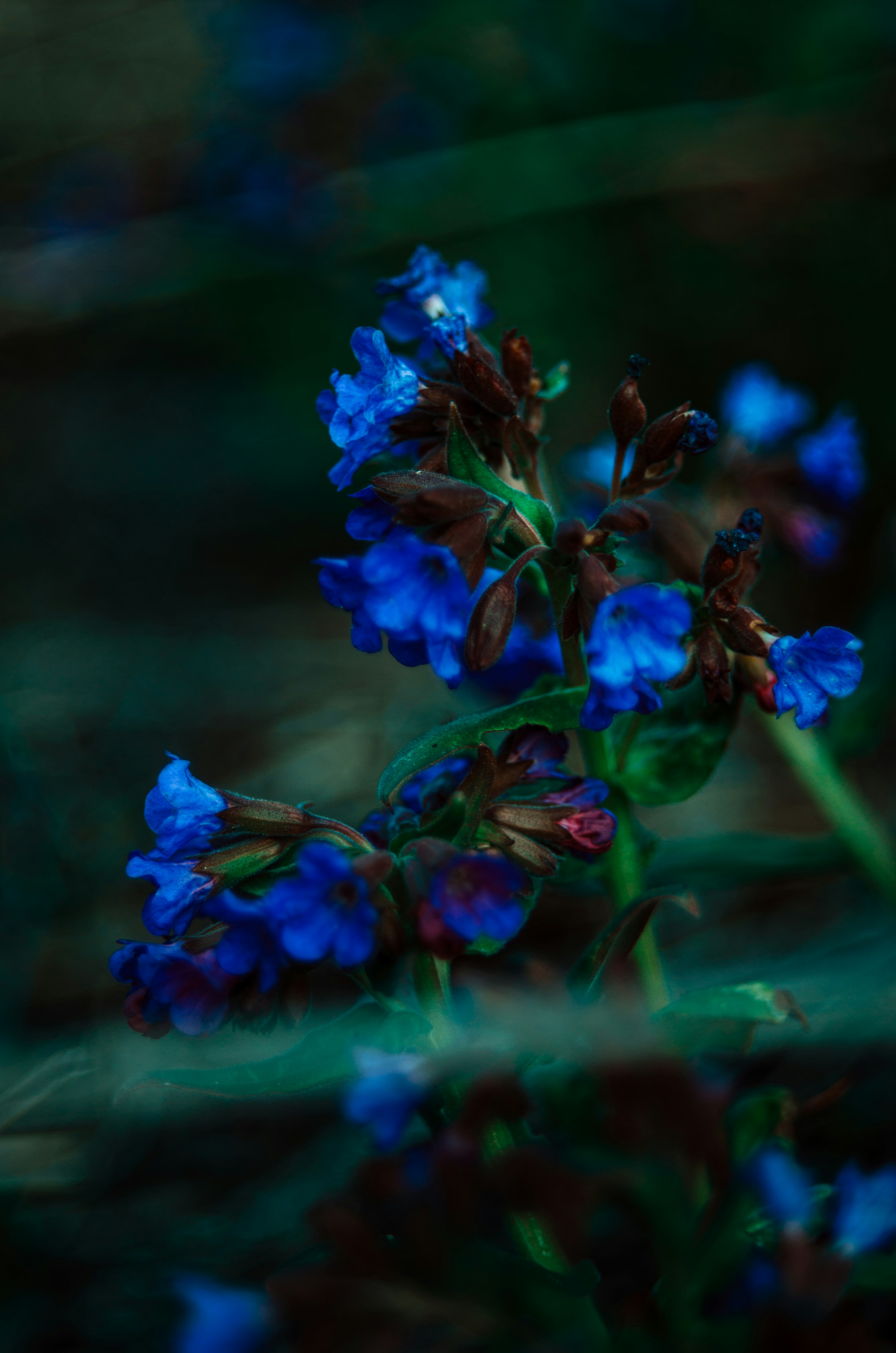 Photo by litvinov