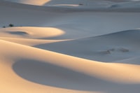 A large group of sand dunes in the desert