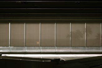 A row of vertical window blinds partially pulled down, with sunlight casting shadows and creating a warm, subdued atmosphere. In the background, faint silhouettes of palm trees can be seen through the blinds.