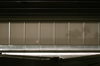 A row of vertical window blinds partially pulled down, with sunlight casting shadows and creating a warm, subdued atmosphere. In the background, faint silhouettes of palm trees can be seen through the blinds.