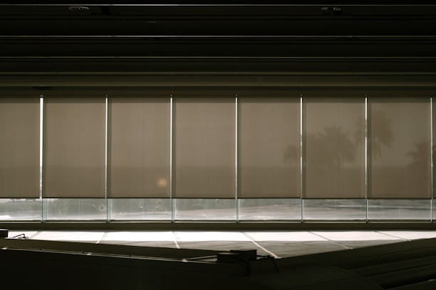 A row of vertical window blinds partially pulled down, with sunlight casting shadows and creating a warm, subdued atmosphere. In the background, faint silhouettes of palm trees can be seen through the blinds.