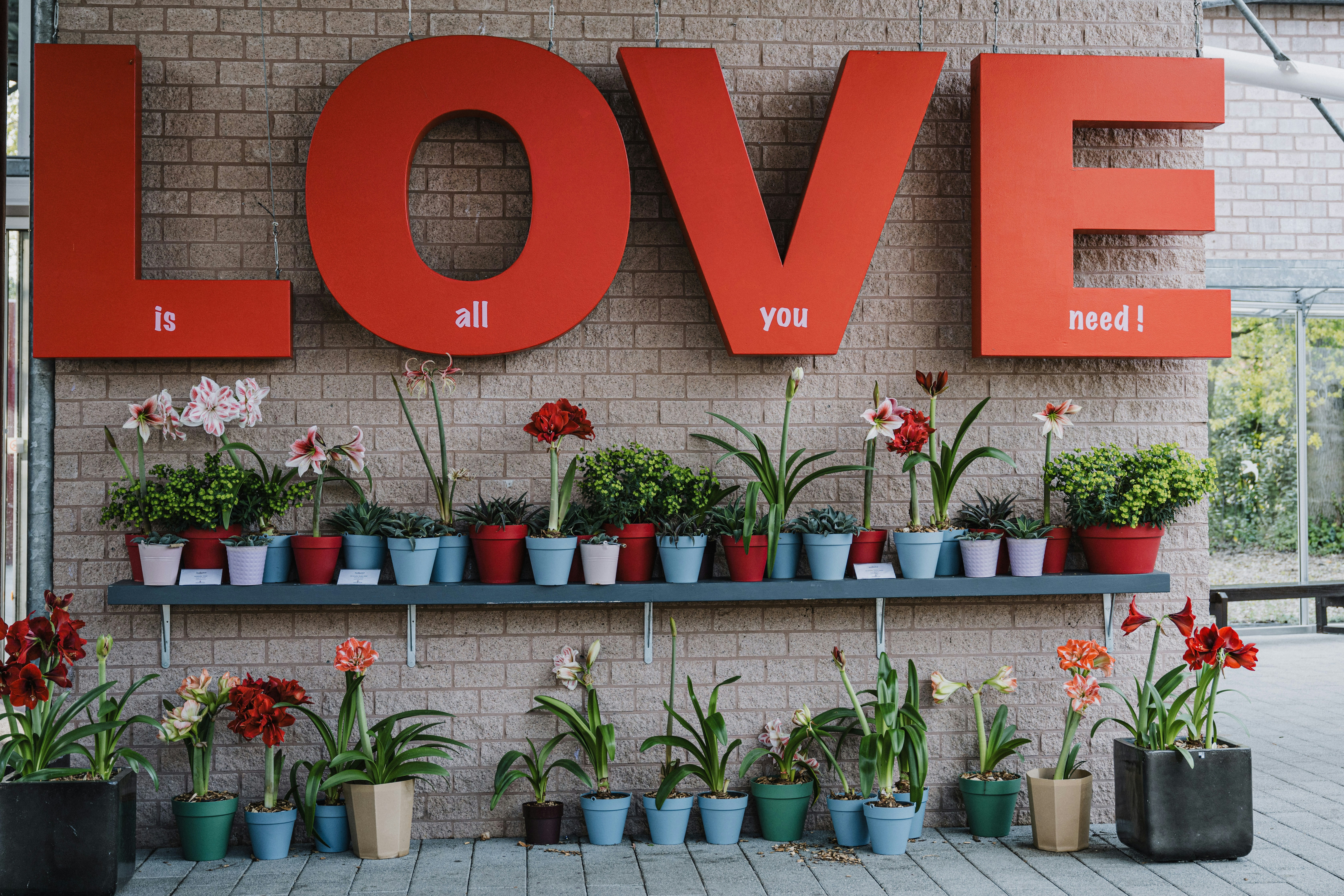 a brick wall with a sign that says love and a bunch of potted plants