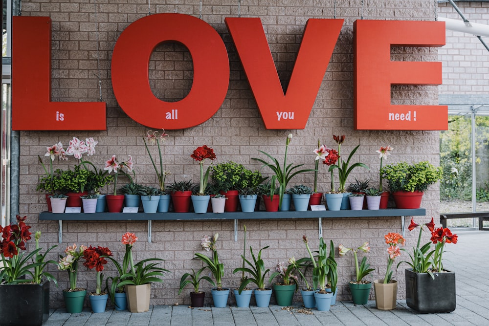 a brick wall with a sign that says love and a bunch of potted plants