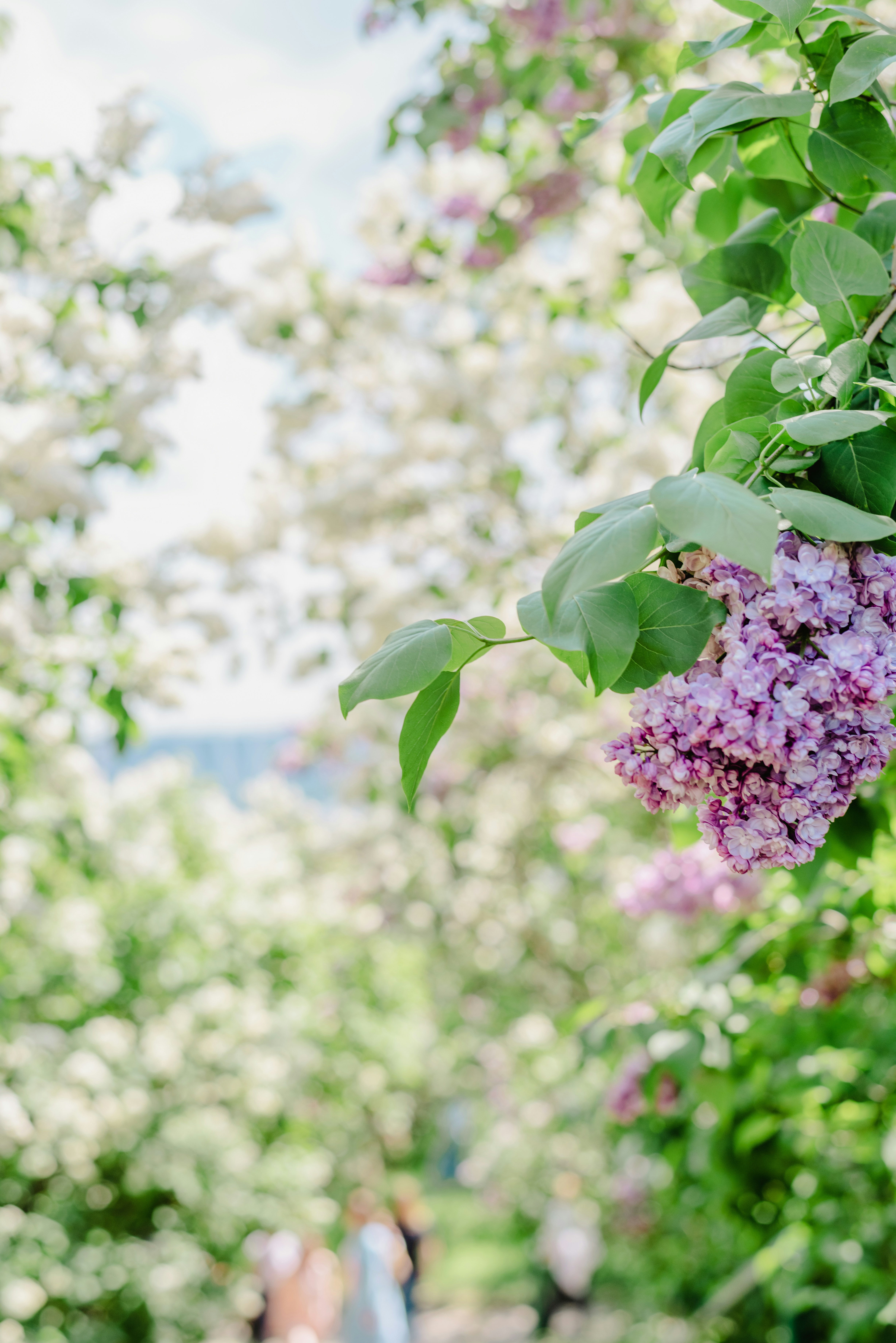 Photo by eugenivy_now