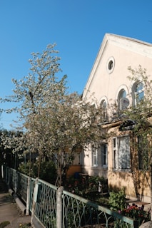 A residential home with crystal-clear windows shining in the morning light, surrounded by blooming flowers.