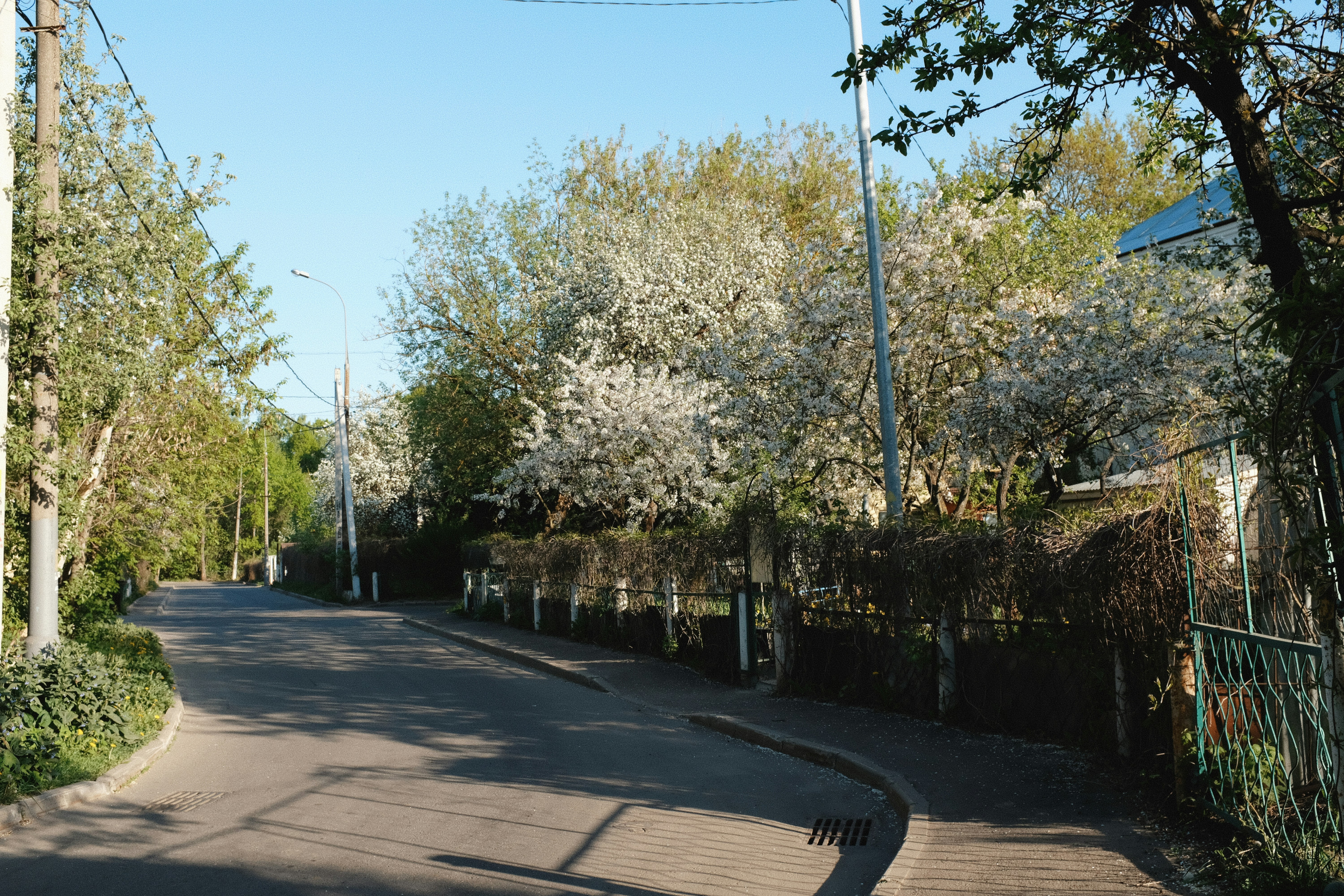 a street lined with trees and bushes next to a fence