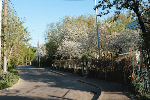 A peaceful tree-lined street in the neighborhood, blending rural charm with suburban homes under a clear blue sky.