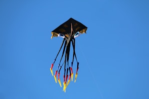 A kite with a unique design soars in the sky. The kite resembles a black square with prominent eye-like patterns. Below it, multiple streamers dangle downward, colored in yellow, red, and blue, against a clear blue sky.