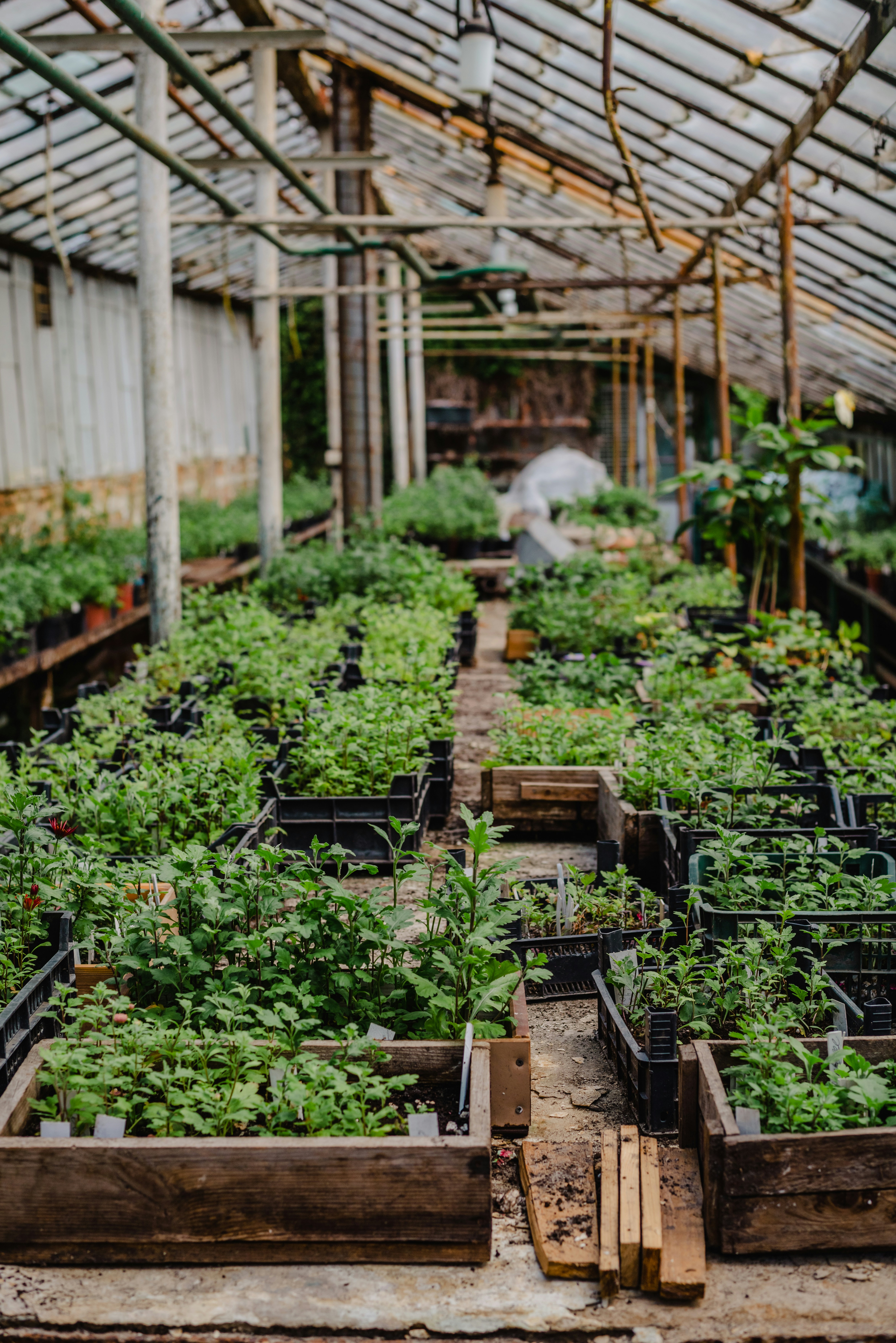 Photo by eugenivy_now