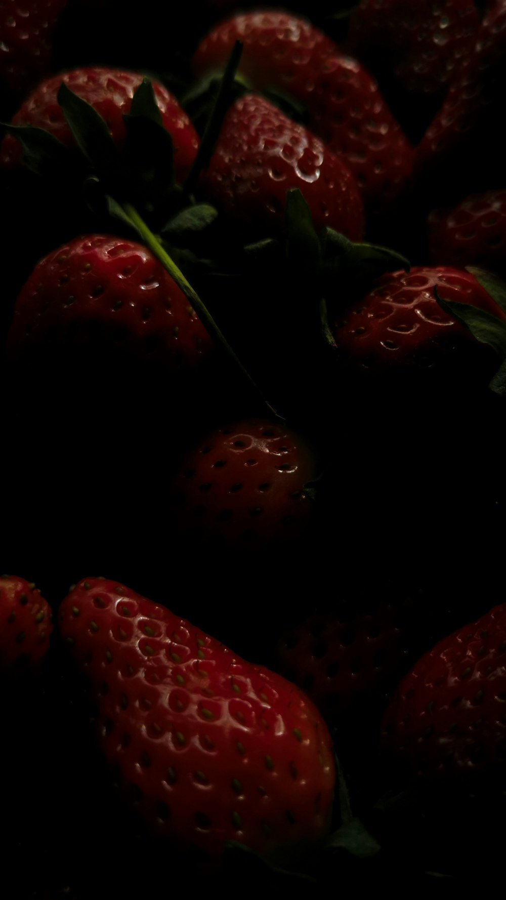 a close up of a bunch of strawberries