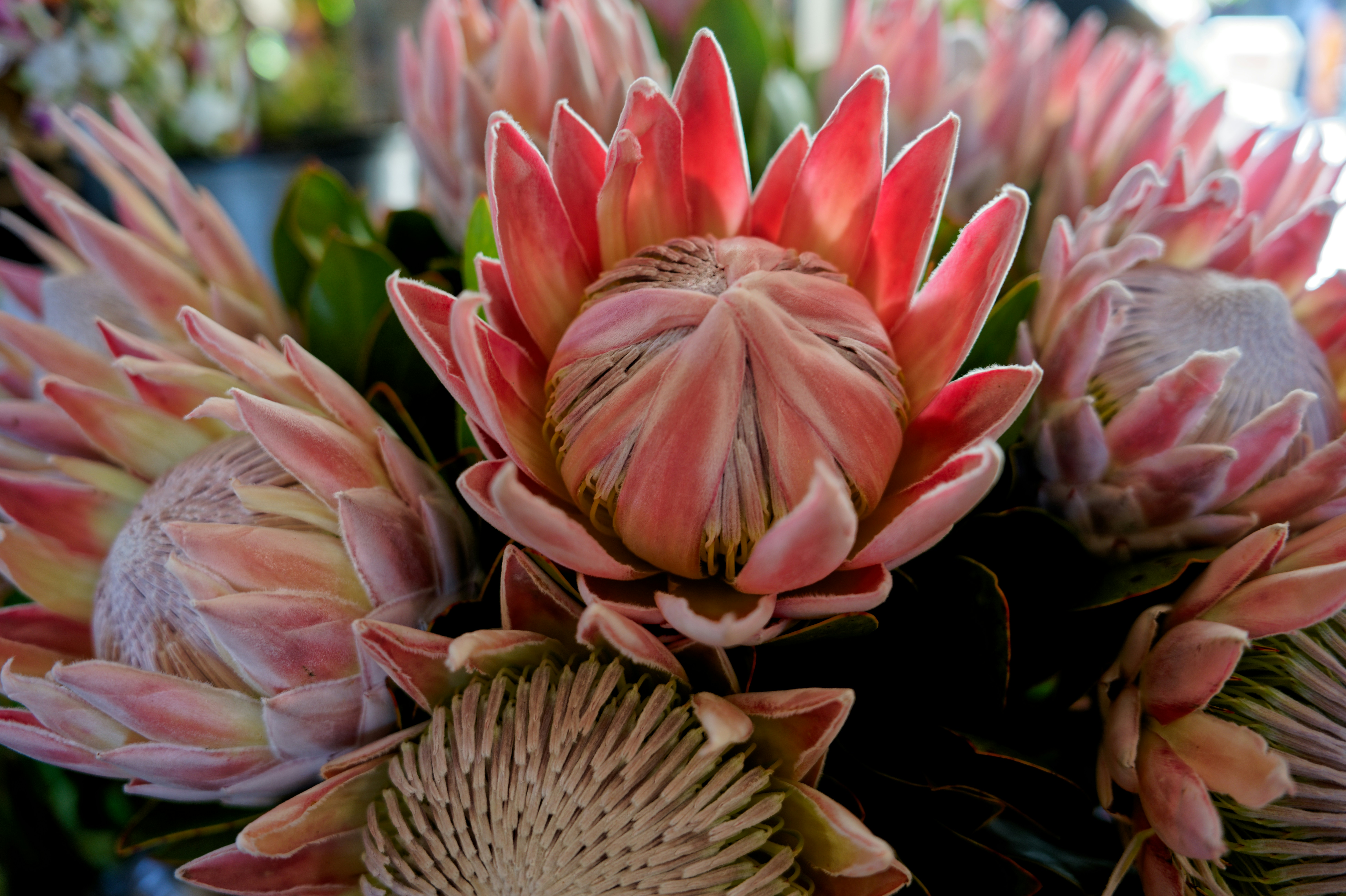 a bunch of flowers that are in a vase