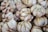 Close-up of several garlic bulbs clustered together, showcasing their papery skins and tightly packed cloves.