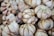Close-up of several garlic bulbs clustered together, showcasing their papery skins and tightly packed cloves.