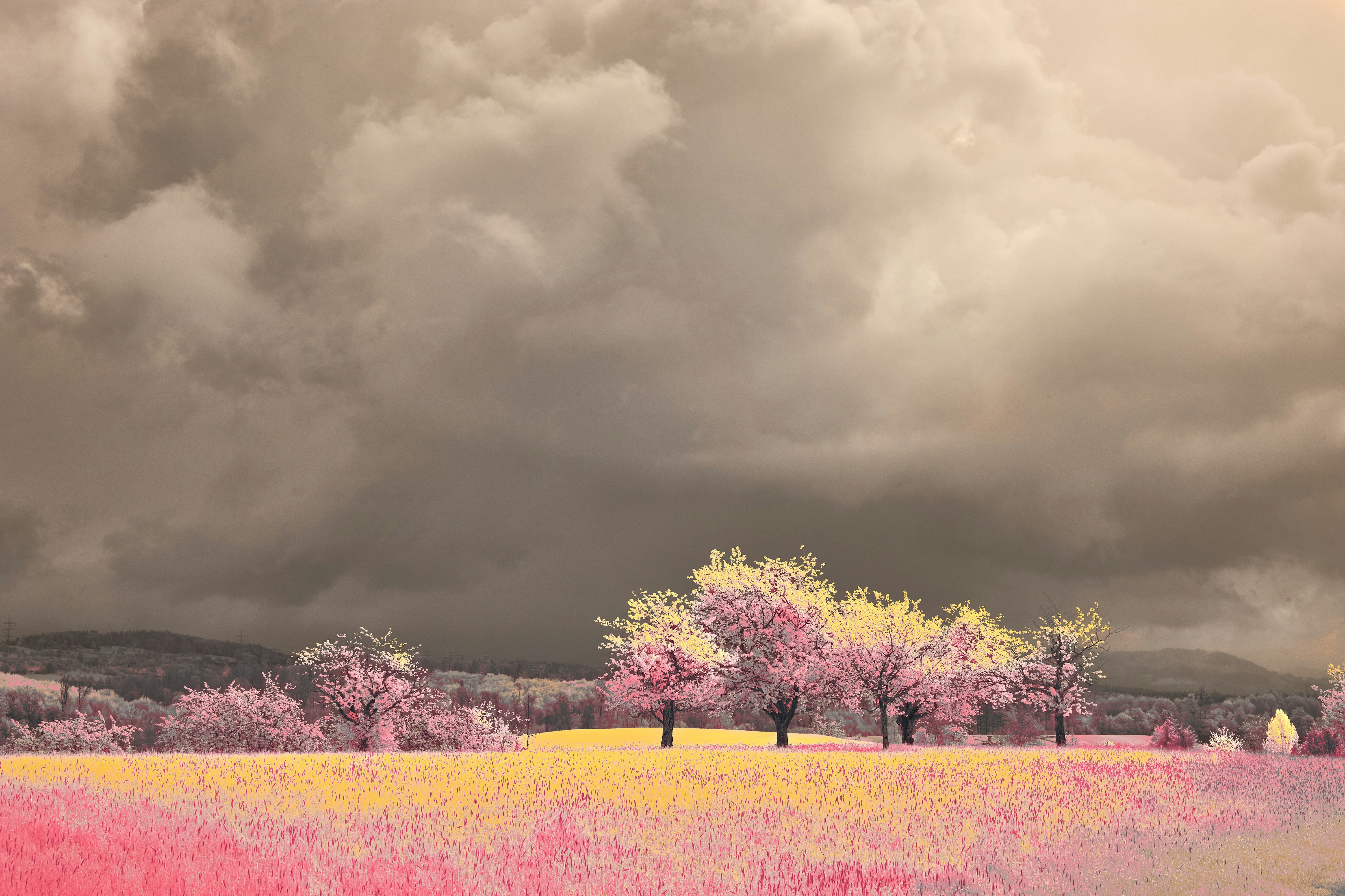 Photo by wolfgang_hasselmann