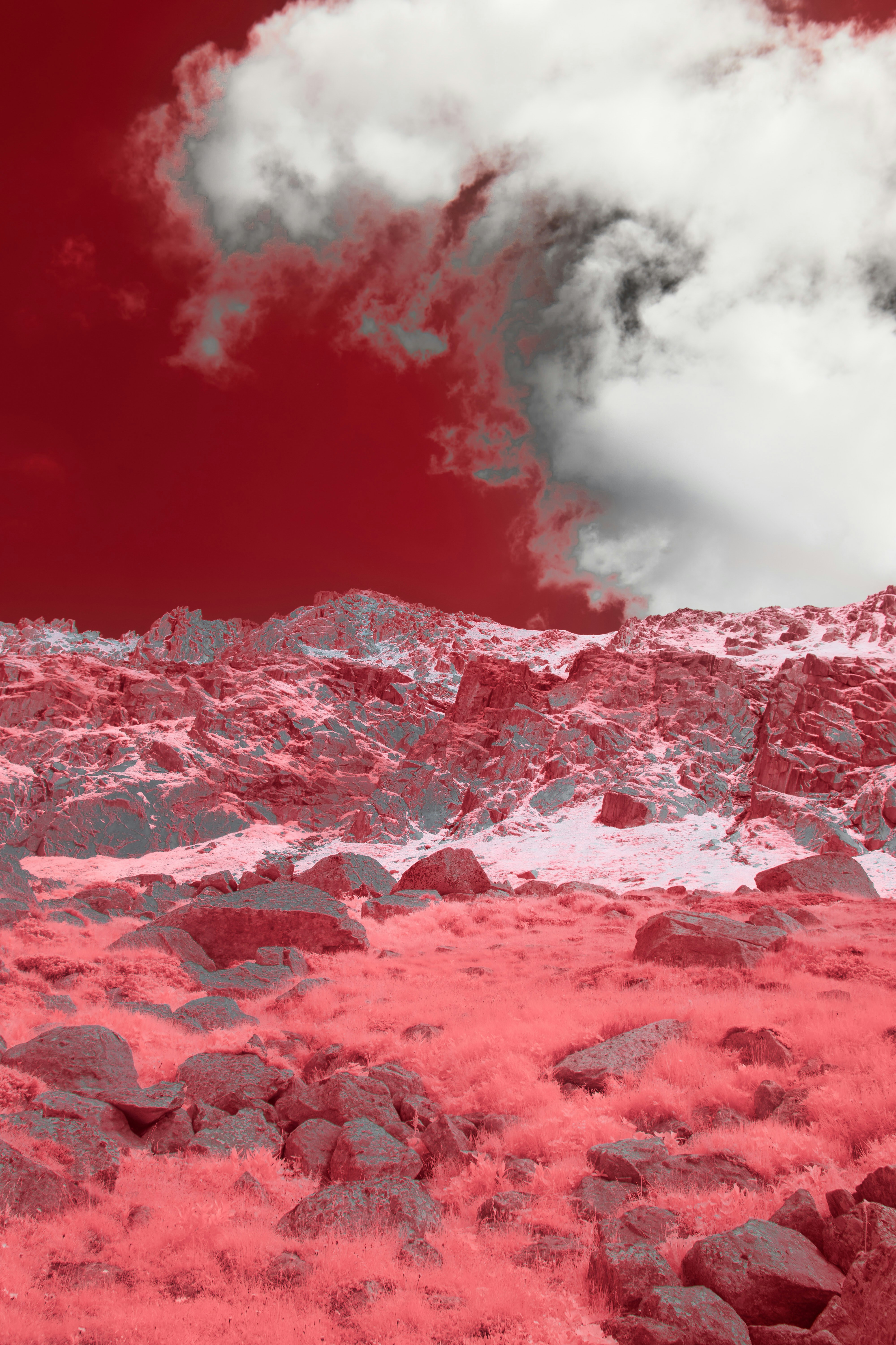 Photo by wolfgang_hasselmann