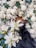 An arrangement of white roses, lilies, and various greenery is interspersed with small white flowers and larger round blooms. A black mesh-like material is present among the flowers, creating a contrast against the light colors.