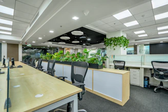 A professional cleaner in forest green uniform carefully cleaning a modern office space with natural light.