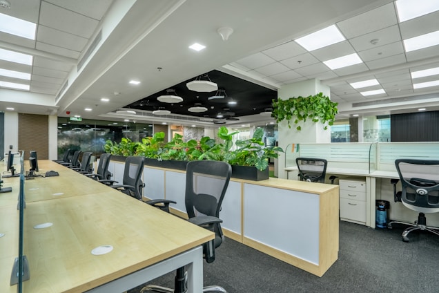 A modern office space with several black office chairs and wooden desks lined in a row. Green plants are arranged in a long planter, providing a natural divider between the desk areas. The ceiling is fitted with recessed lighting and square panels. The environment looks clean and minimalist, with ample natural light from large windows.