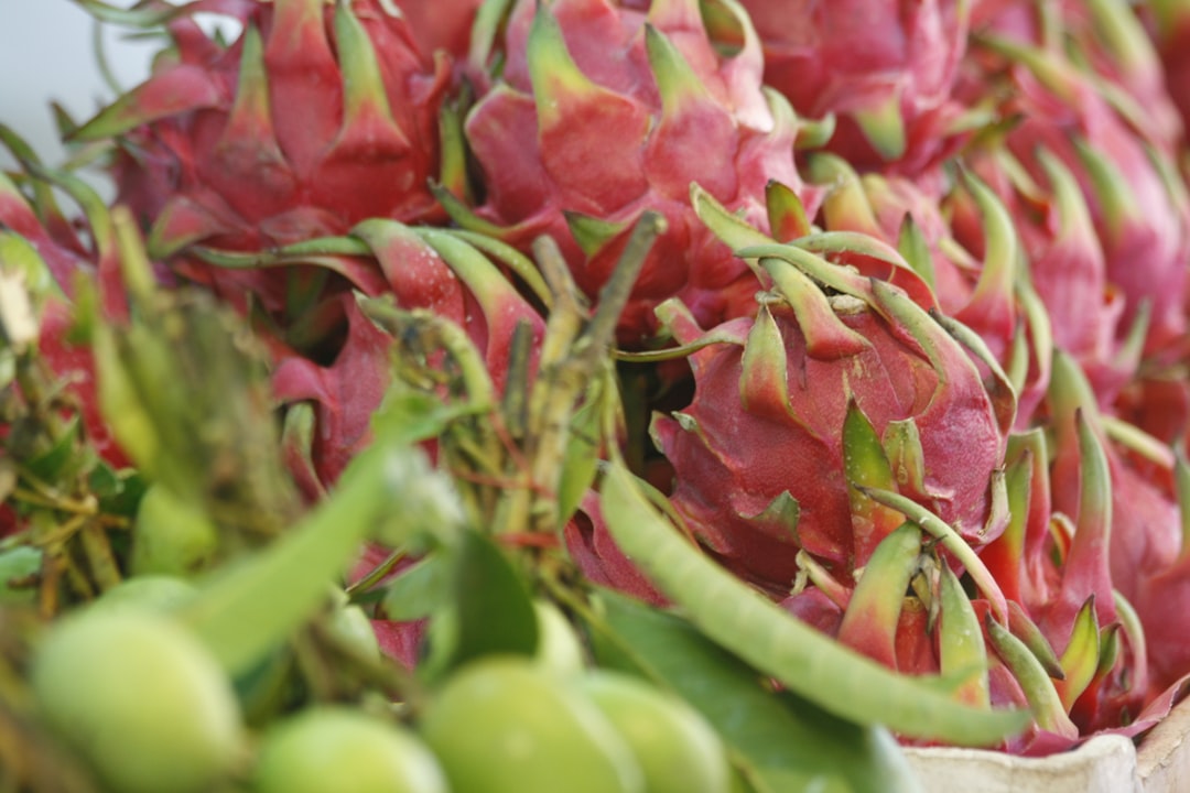 a bunch of fruit that is sitting on a table,
