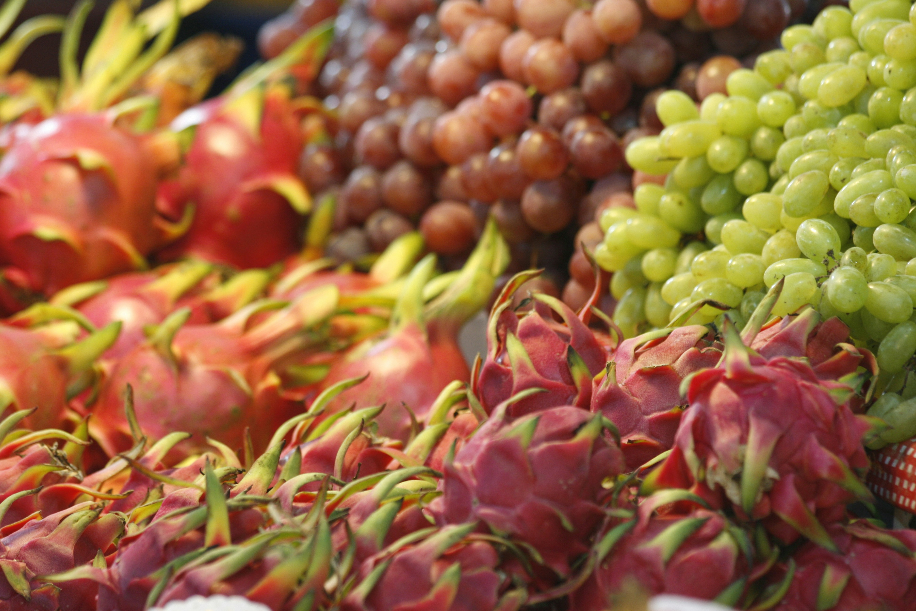 a display of dragon fruit at a market