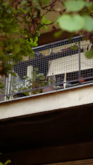 A balcony fully enclosed with sturdy pigeon netting protecting plants.