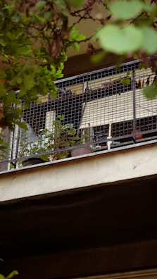 Balcony with tinted glass enclosure and potted plants creating a green space.