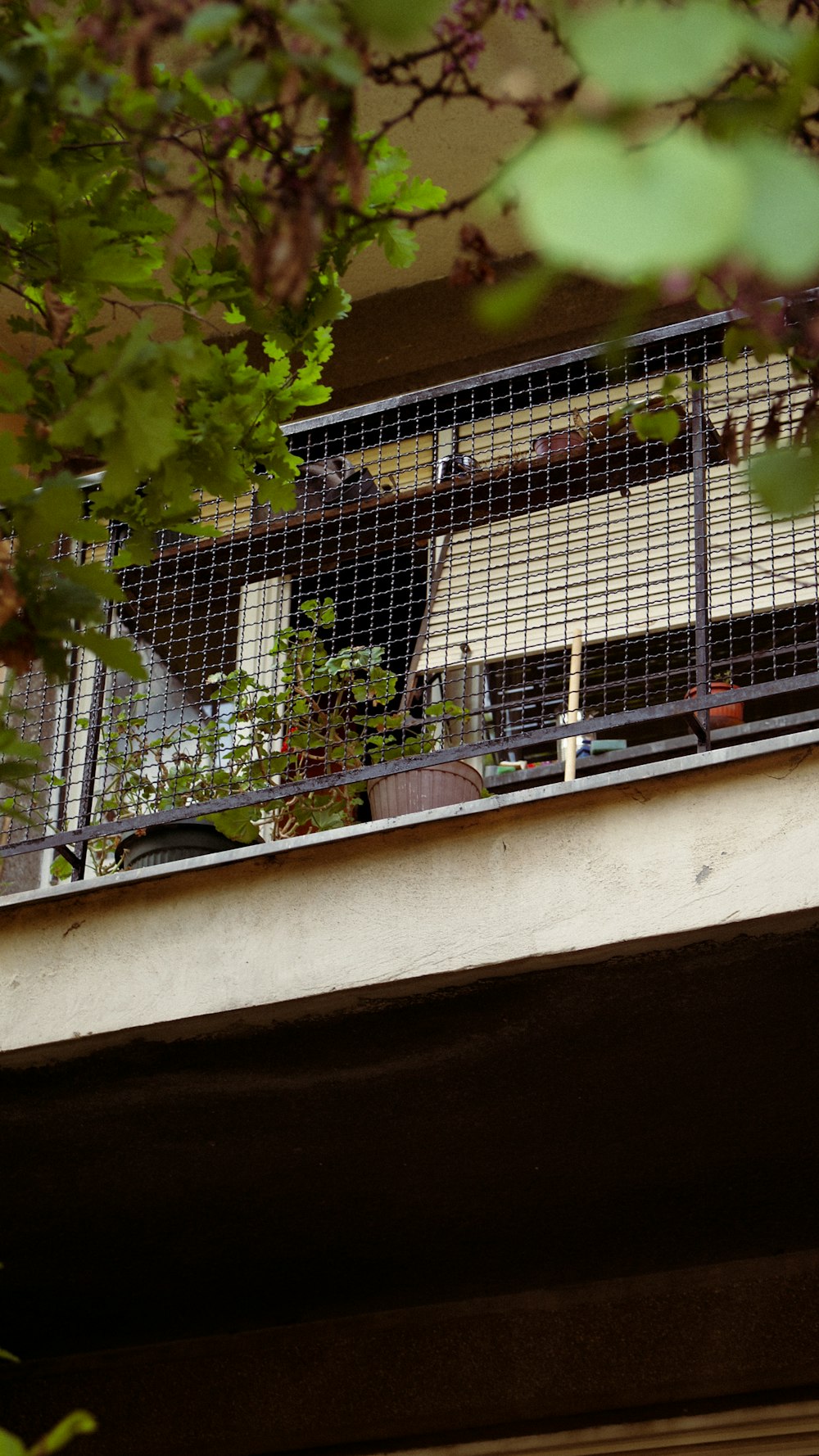 a bird is perched on the balcony of a building