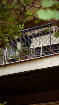 A balcony is partially obscured by dense green foliage, with a metal mesh enclosing it. Inside the balcony are various potted plants, a brown pot, and other indistinct objects. The structure appears aged, and the overall scene is a mix of natural greenery and man-made construction.