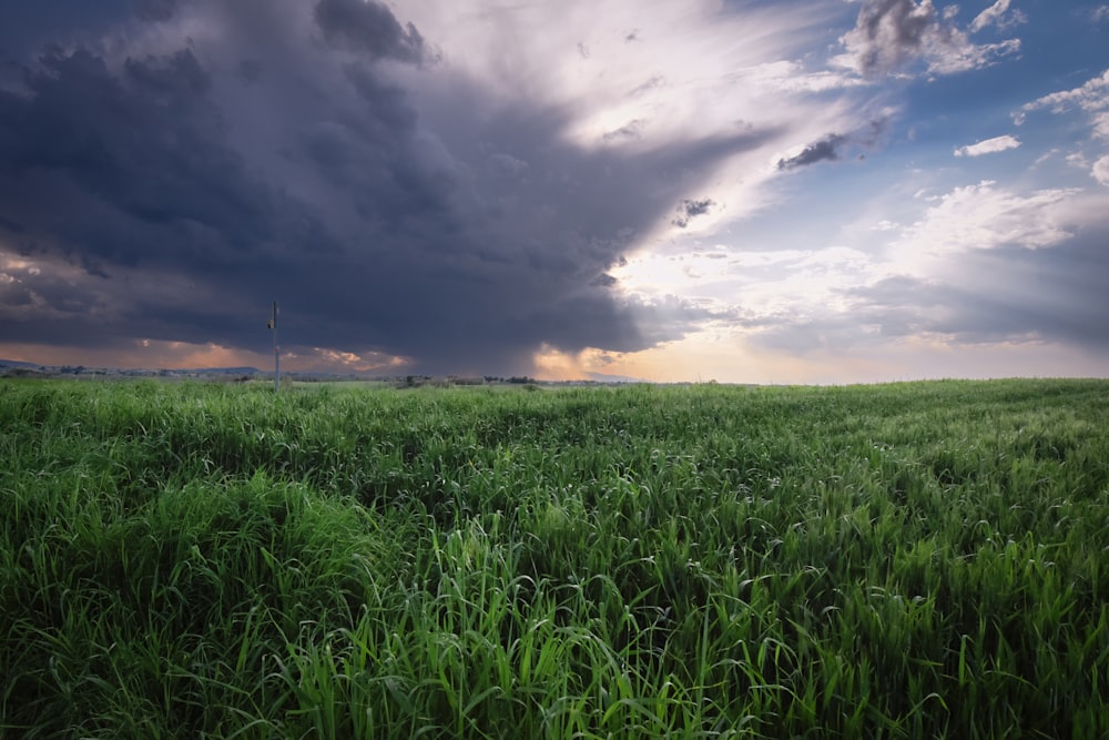 a field of green grass under a cloudy sky