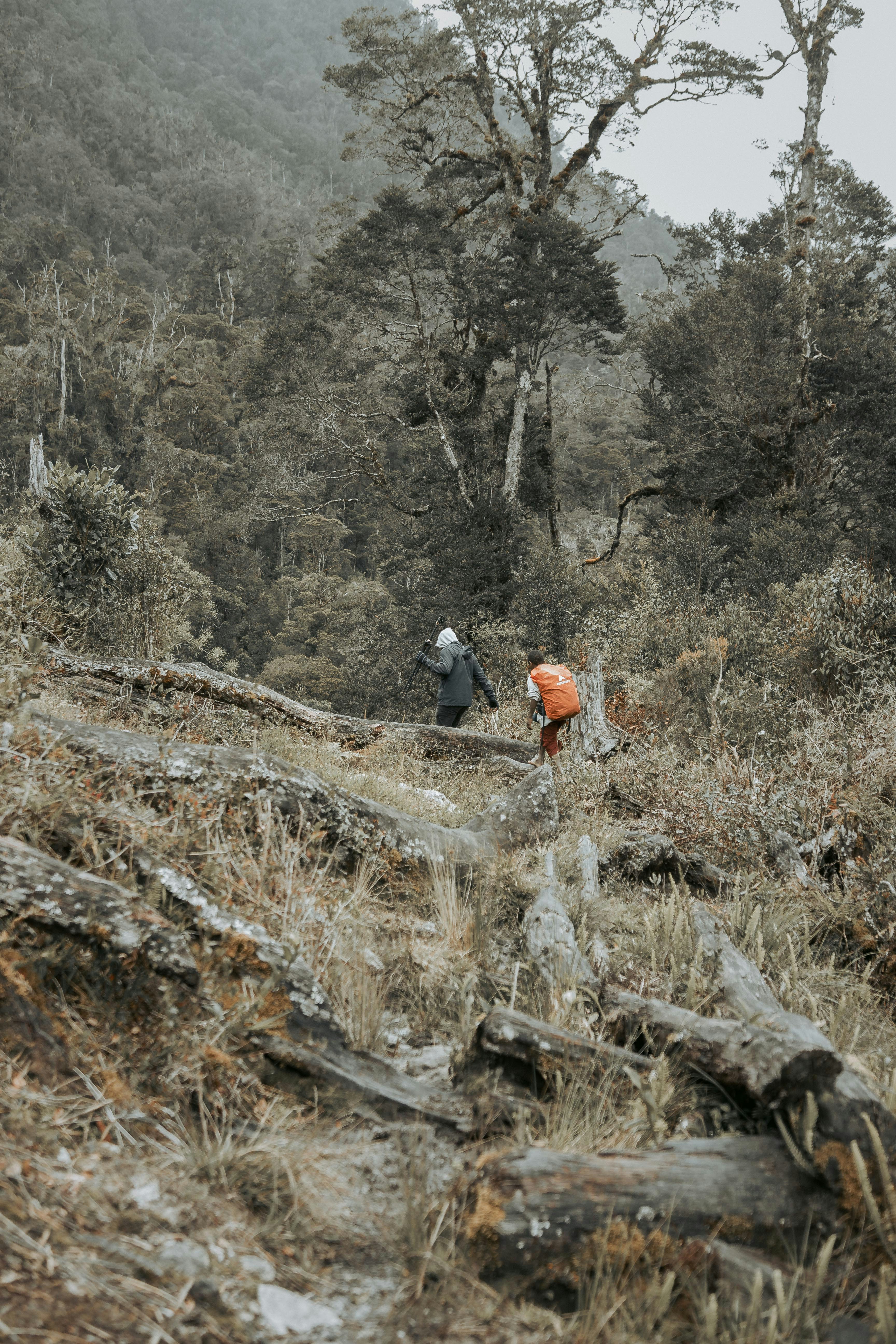 Trekking nocturno + fogón — actividad de Tierra en Argentina