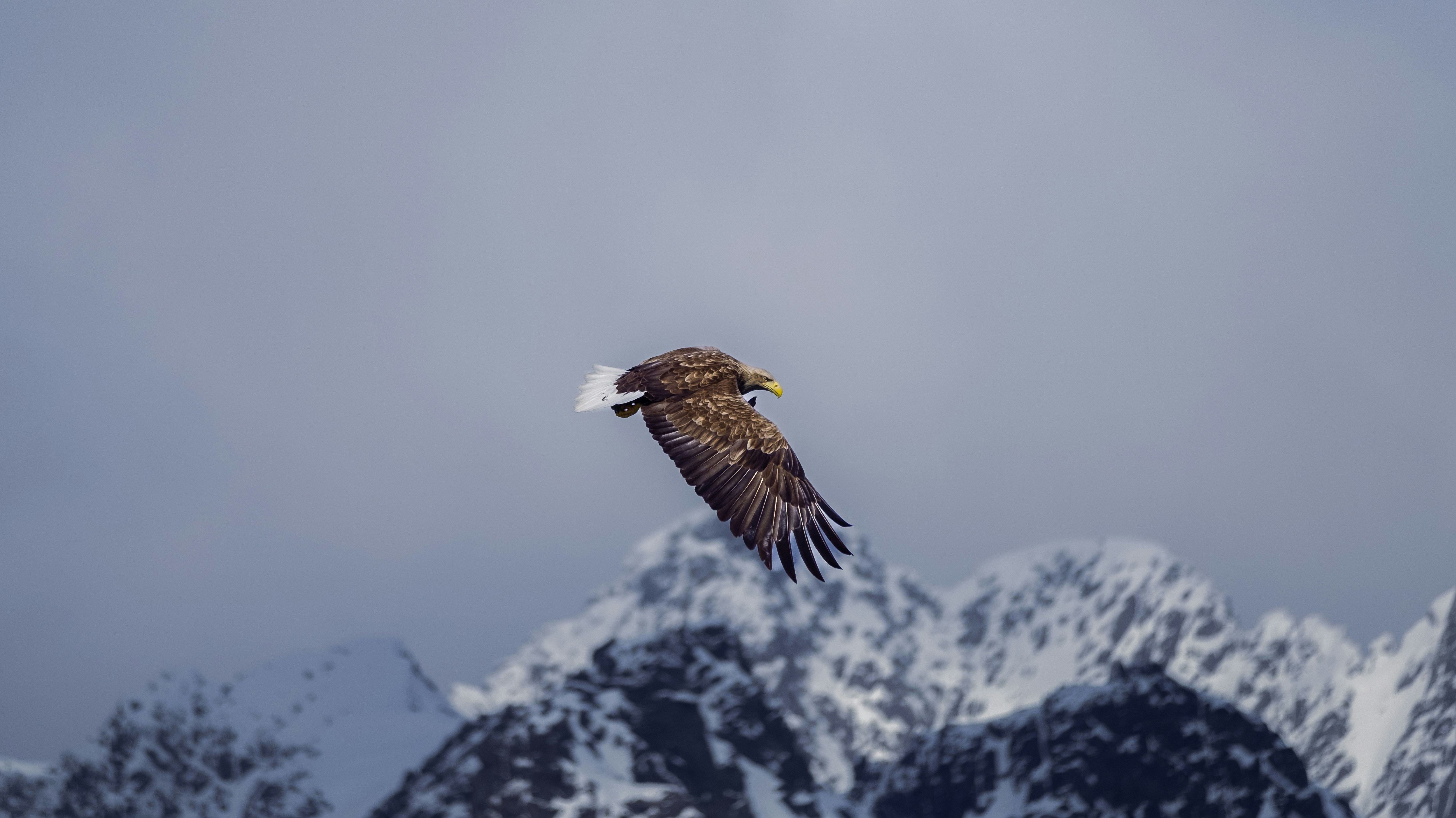 Photo by thomasdeluze