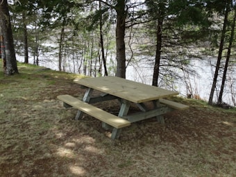 A wooden picnic table is situated in a forested area near a body of water. The table and benches are made of light-colored wood and are surrounded by trees, providing a natural and serene setting. The ground is covered with grass and patches of bare earth.