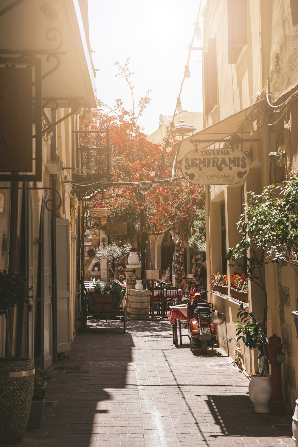 a narrow city street with shops and plants