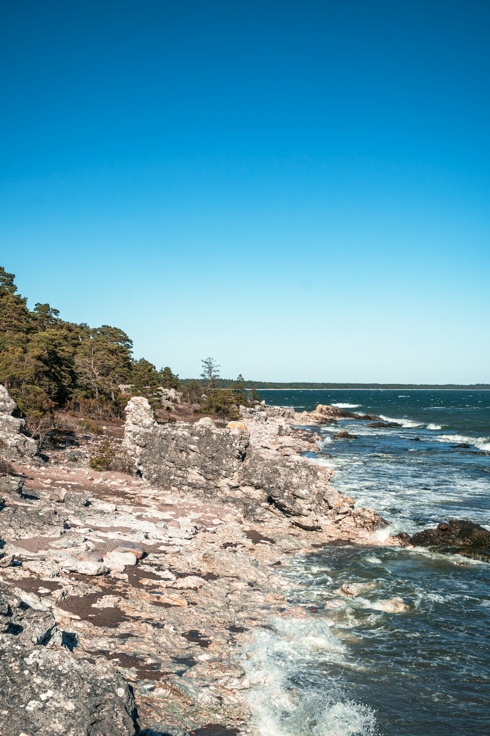 a person standing on a rocky beach next to the ocean