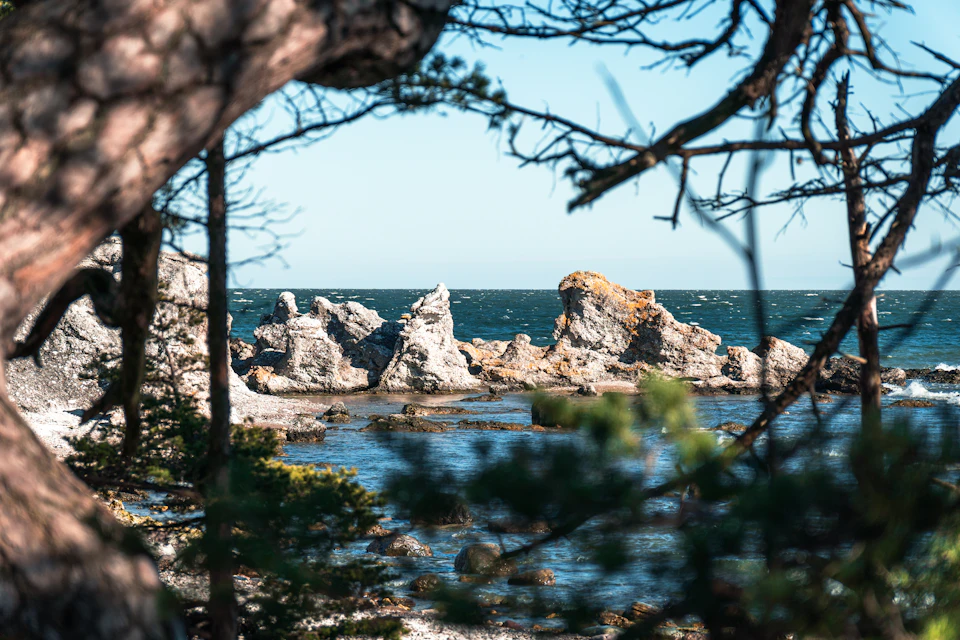 Rocky shoreline with scattered boulders and trees frames serene coastal scene with calm waters