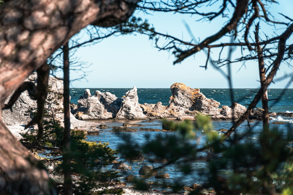 a rock outcropping in the middle of a body of water