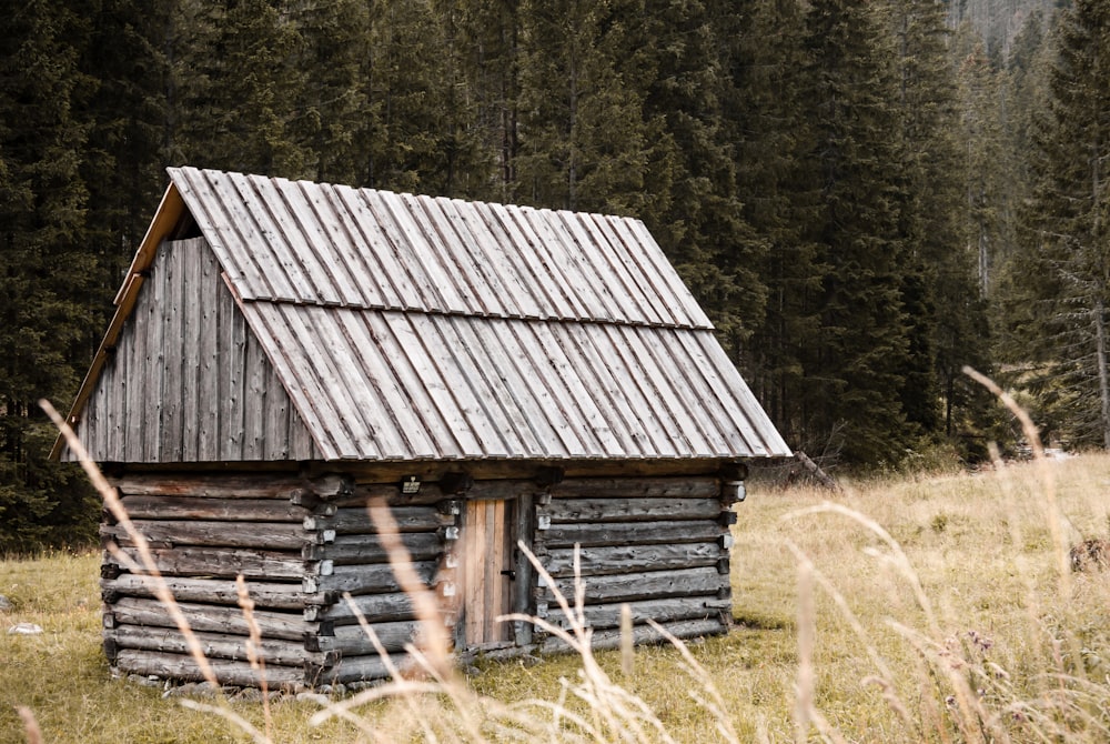 a log cabin in a field with tall grass