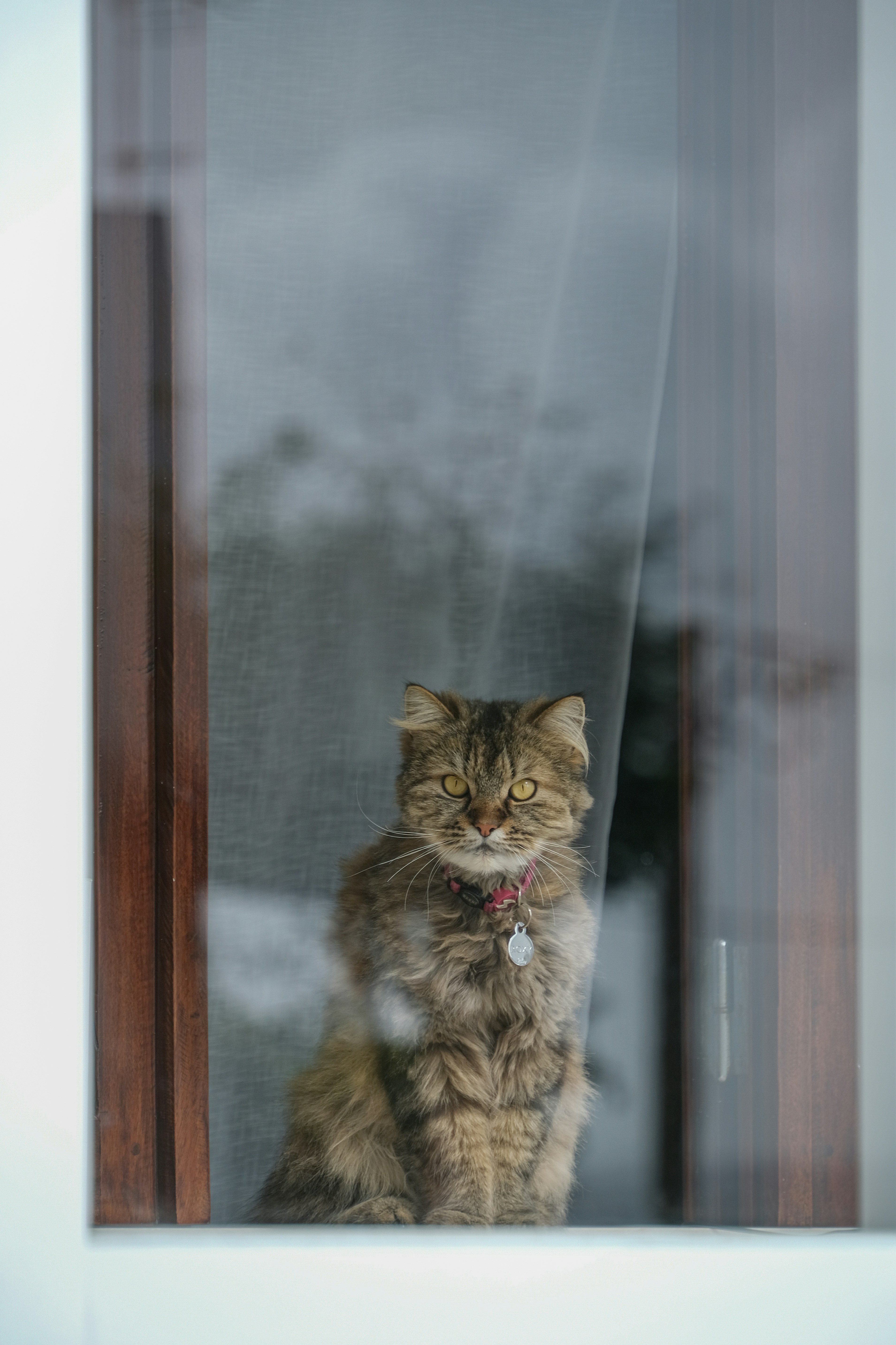 12. Closed Doors: The Forbidden Mystery (image credits: unsplash)