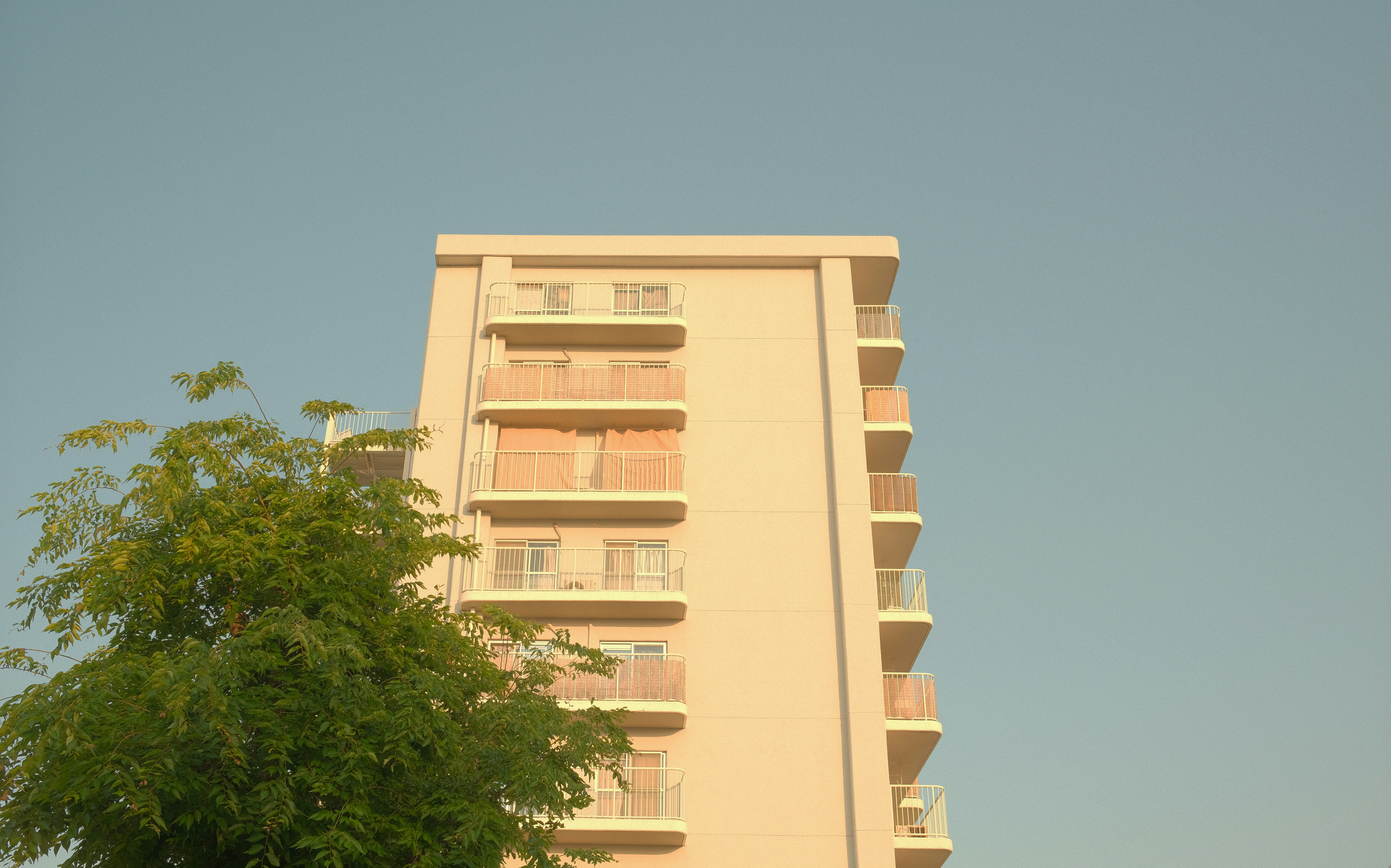 Photo by zengyili