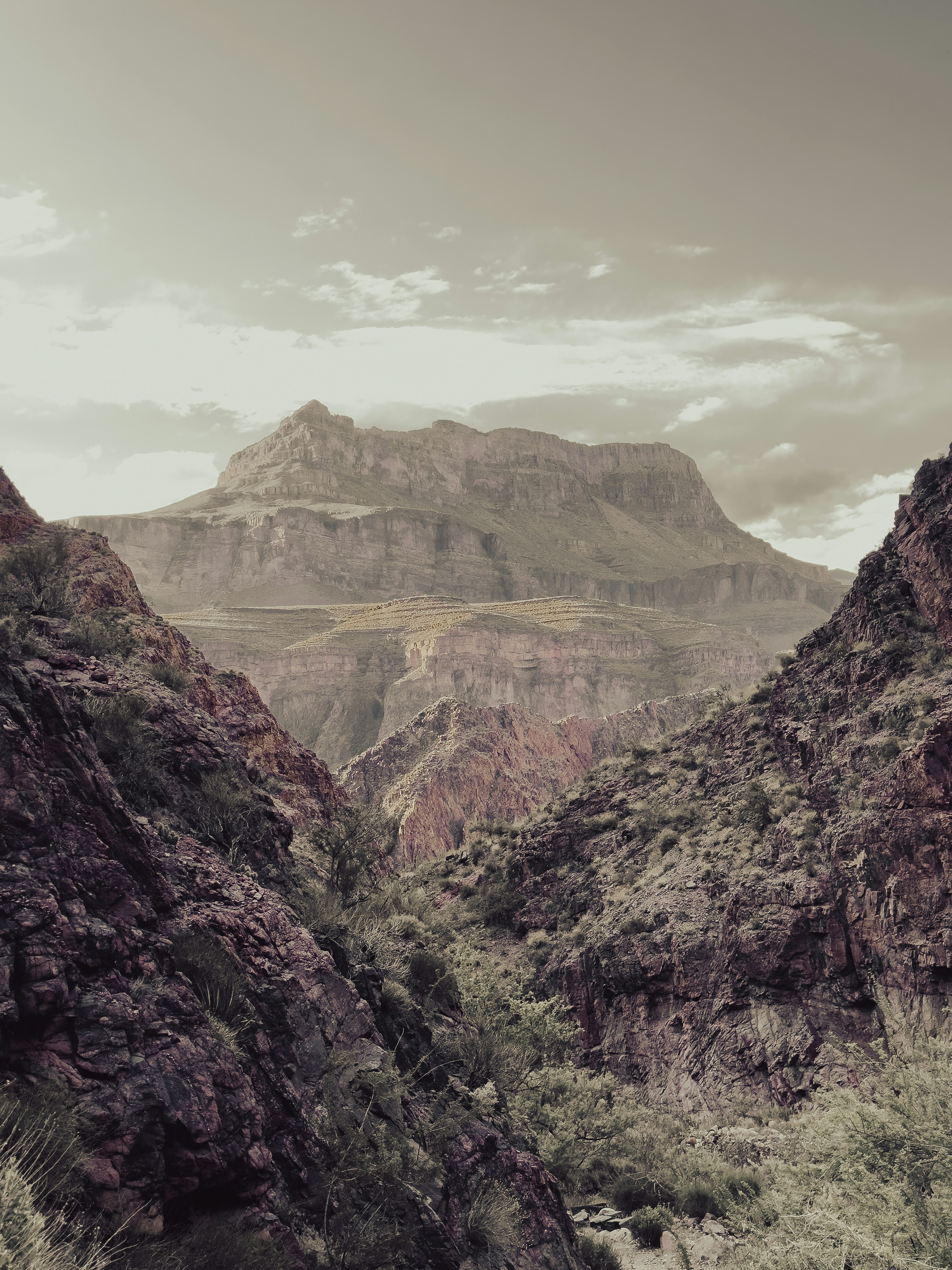 Photo by bricepbrown