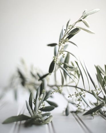 Close-up of handcrafted olive leaf paper decorations with soft natural lighting