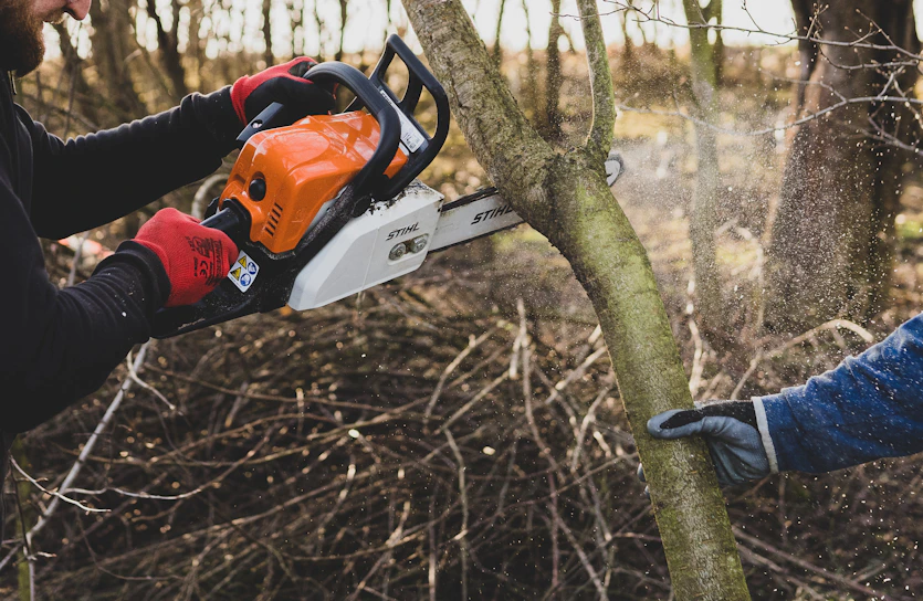 cutting a tree with a chainsaw
