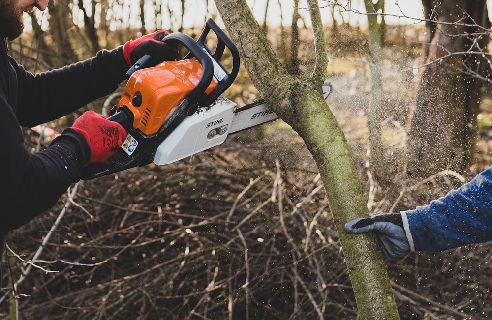 a man cutting a tree with a chainsaw