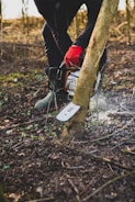A person wearing red gloves and green boots is using a chainsaw to cut down a small tree in a wooded area. The ground is scattered with leaves and small plants, while sunlight filters through the surrounding trees.