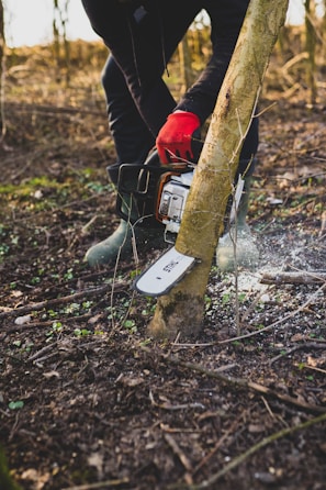 A person wearing red gloves and green boots is using a chainsaw to cut down a small tree in a wooded area. The ground is scattered with leaves and small plants, while sunlight filters through the surrounding trees.