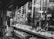 A black and white image of a bakery shop window displaying various baked goods on trays. The window reflects the bustling street outside, with visible signage and buildings. Traditional design elements suggest an older or culturally rich setting.