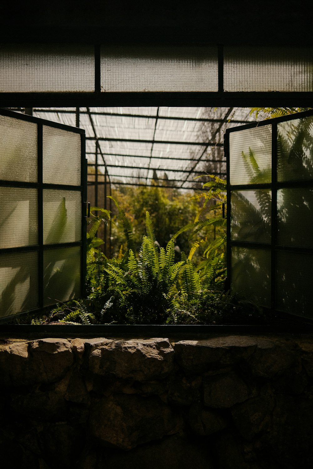 an open window with a view of a forest