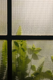 A textured glass window with a grid pattern partially obscures green foliage behind it. The plants are silhouetted, showing outlines of leaves and ferns, and creating a soft, diffused aesthetic.